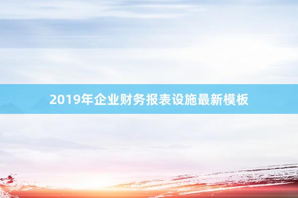 2019年企业财务报表设施最新模板